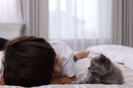 Cute little boy with kitten on bed at home. Childhood petの写真素材
