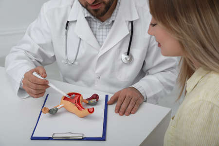 Gynecologist demonstrating model of female reproductive system to young woman in clinic, closeupの写真素材