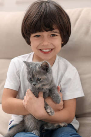 Cute little boy with kitten on sofa. Childhood petの写真素材
