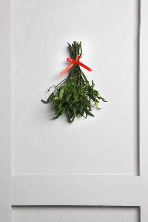 Mistletoe bunch with red bow hanging on light gray wall. Traditional christmas decorの写真素材