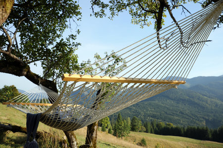 Comfortable net hammock in mountains on sunny dayの写真素材