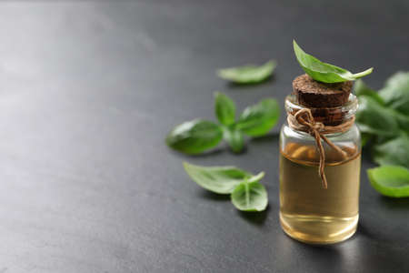 Bottle of essential basil oil and fresh leaves on dark gray table, space for textの写真素材