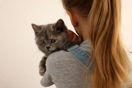 Little girl with kitten on light background, back view. Childhood petの写真素材