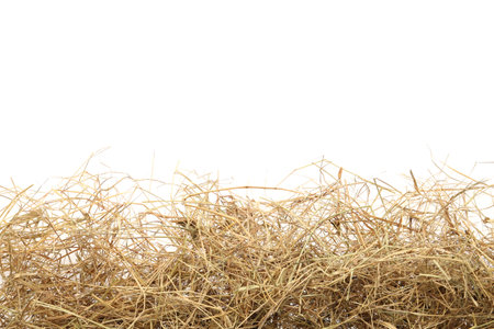 Dried hay on white background, top viewの写真素材