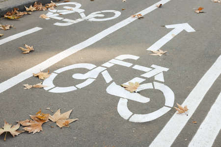Two way bicycle lane with white signs on asphaltの写真素材