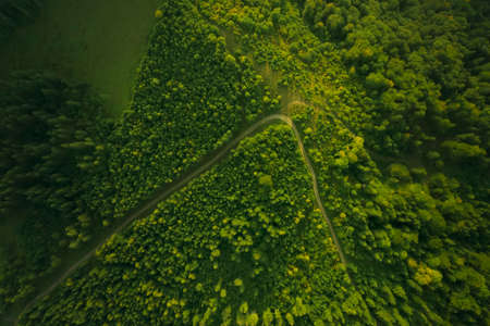 Aerial view of road surrounded by forest with beautiful green treesの写真素材