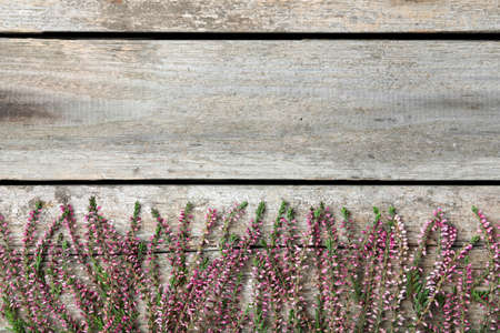 Heather branches with beautiful flowers on wooden table, flat lay. Space for textの写真素材