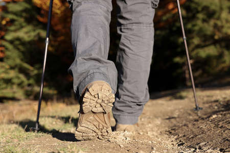 Hiker with trekking poles walking outdoors on sunny day, closeupの写真素材