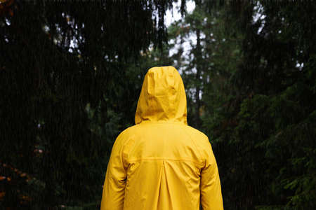 Woman with raincoat in forest under rain, back viewの写真素材