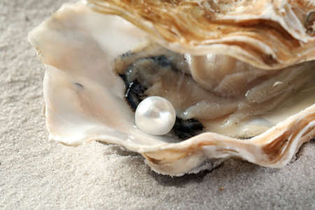 Open oyster with white pearl on sand, closeupの写真素材
