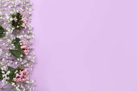 Beautiful floral composition with gypsophila on violet background, flat lay. Space for textの写真素材