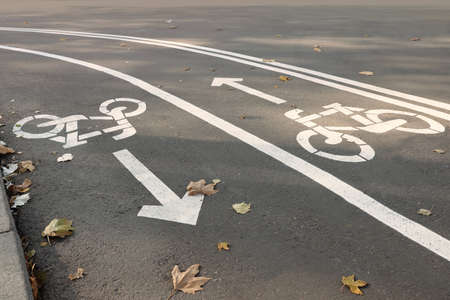 Two way bicycle lane with white signs on asphalt