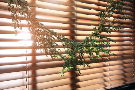 Beautiful garland made of eucalyptus branches hanging on window blinds indoorsの写真素材