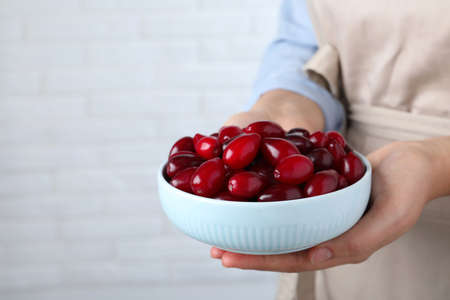 Woman with bowl of fresh ripe dogwood berries on light background, closeup. Space for textの写真素材