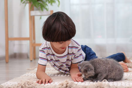 Cute little boy with kitten on floor at home. Childhood petの写真素材