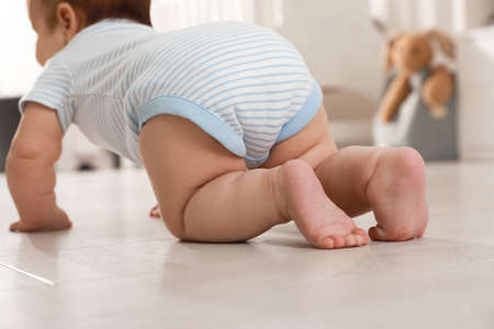 Cute baby crawling on floor at home, back viewの写真素材