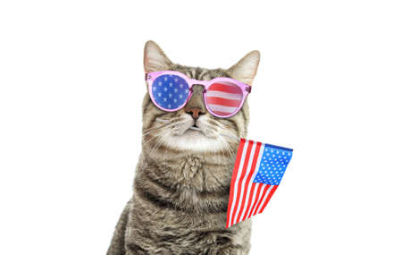 4th of July - Independence Day of USA. Cute cat with sunglasses and American flag on white backgroundの写真素材
