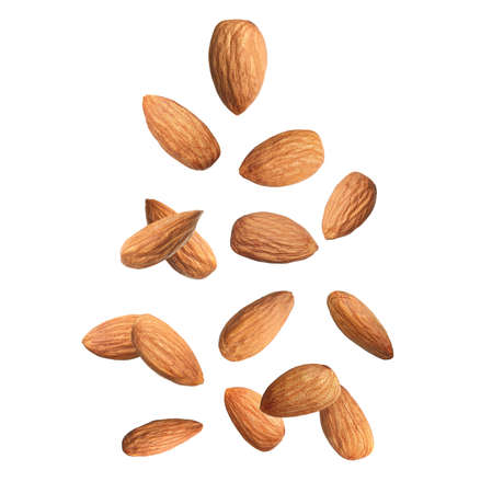 Many tasty almonds falling on white backgroundの写真素材