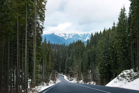 Beautiful view of forest and empty asphalt road leading to mountains