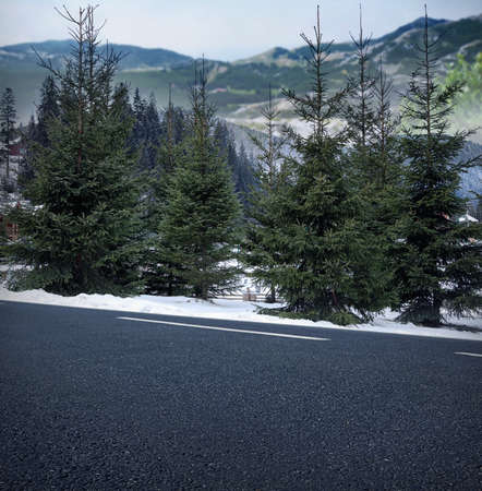 Beautiful view of mountain landscape with conifer trees and empty asphalt road