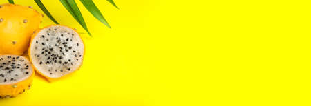 Delicious dragon fruits (pitahaya) and palm leaf on yellow background, space for text. Banner designの写真素材