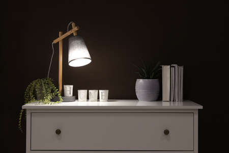 Stylish lamp, books and green plants on white chest of drawers near brown wall indoors. Interior...