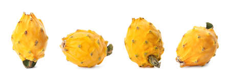 Set with delicious yellow dragon fruits (pitahaya) on white background. Banner designの写真素材