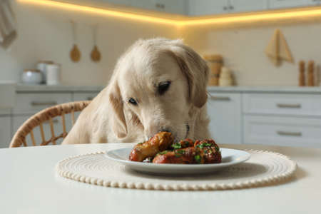 Cute dog trying to steal fried meat from table in kitchenの写真素材