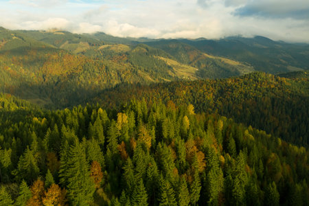 Aerial view of beautiful mountain landscape with forest on sunny dayの写真素材
