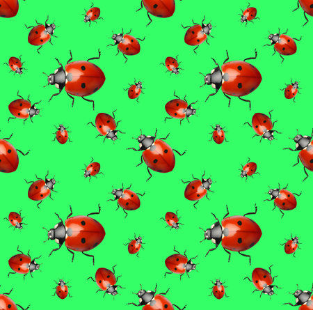 Many red ladybugs on green background, flat layの写真素材