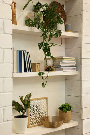 Beautiful green plants and books on shelves indoors. Interior designの写真素材