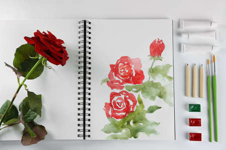 Painting of roses in sketchbook, flower and art supplies on white background, top viewの写真素材