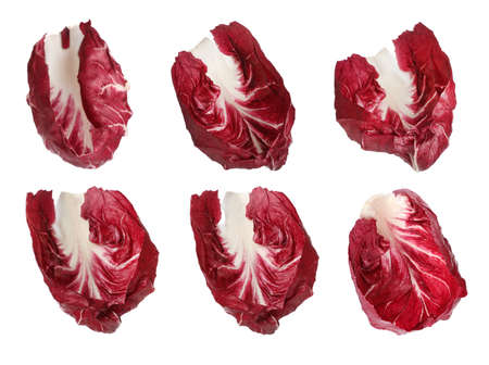 Set with fresh ripe radicchio leaves on white backgroundの写真素材