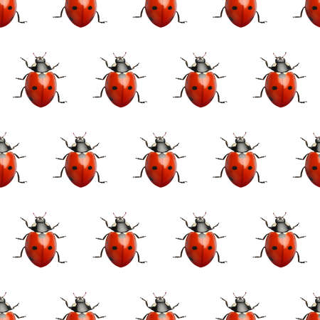 Many red ladybugs on white background, top viewの写真素材
