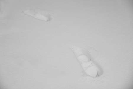 Footprints on white snow outdoors. Winter weatherの写真素材