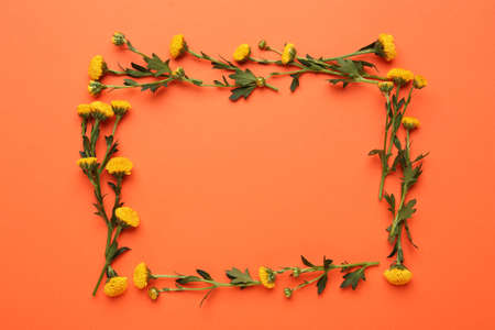 Frame made of beautiful yellow chrysanthemum flowers on orange background, flat lay. Space for text