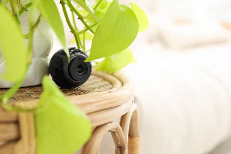 Small camera hidden near houseplant on table in room