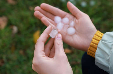 Woman holding hail grains after thunderstorm outdoors, closeupの写真素材