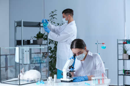 Scientists working in chemical laboratory. Animal testing