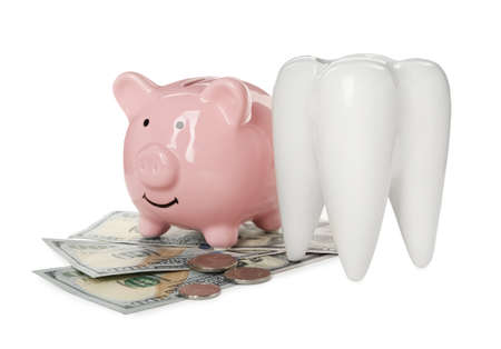 Ceramic model of tooth, piggy bank and money on white background. Expensive treatmentの写真素材