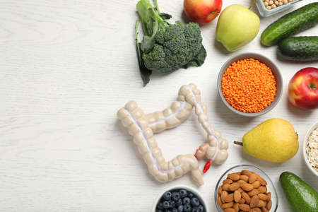 Anatomical model of large intestine and different organic products on white wooden background, flat...