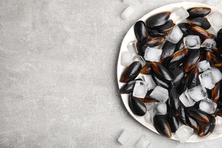 Plate with raw mussels and ice on light table, flat lay. Space for text