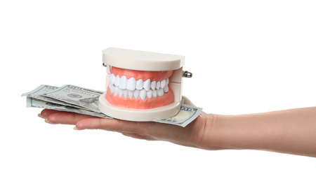 Woman holding educational dental typodont model and dollar banknotes on white background, closeup....
