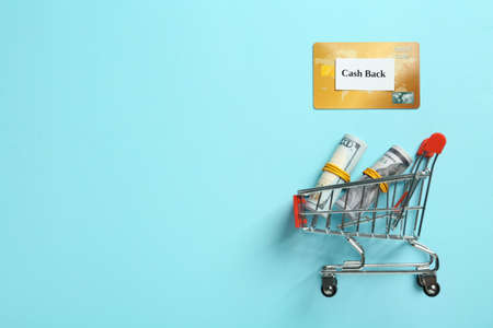 Credit card and rolled dollar banknotes in shopping cart on light blue background, flat lay with space for text. cashback conceptの写真素材