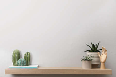 Wooden shelf with beautiful houseplants and stylish interior accessories on white wall. Space for textの写真素材