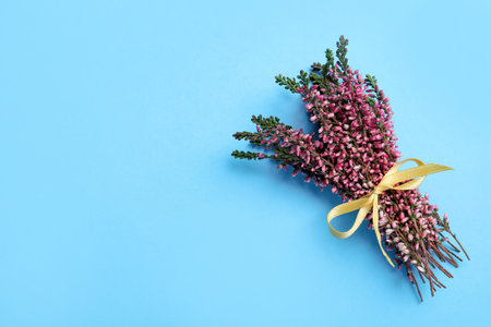 Bunch of heather branches with beautiful flowers and ribbon on light blue background, top view. Space for textの写真素材