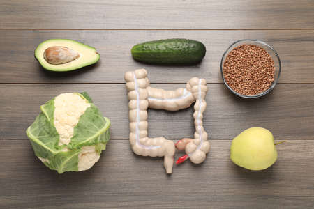 Layout of intestine model and products to help digestion on wooden table, top viewの写真素材
