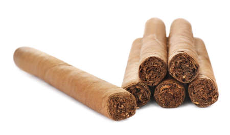 Many cigars on white background. Tobacco smoking