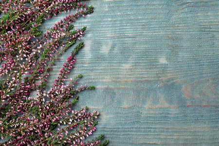 Heather branches with beautiful flowers on light blue wooden table, flat lay. Space for text