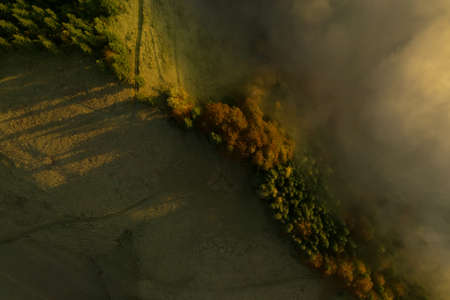 Aerial view of house near forest with morning fog in countryside. drone photographyの写真素材